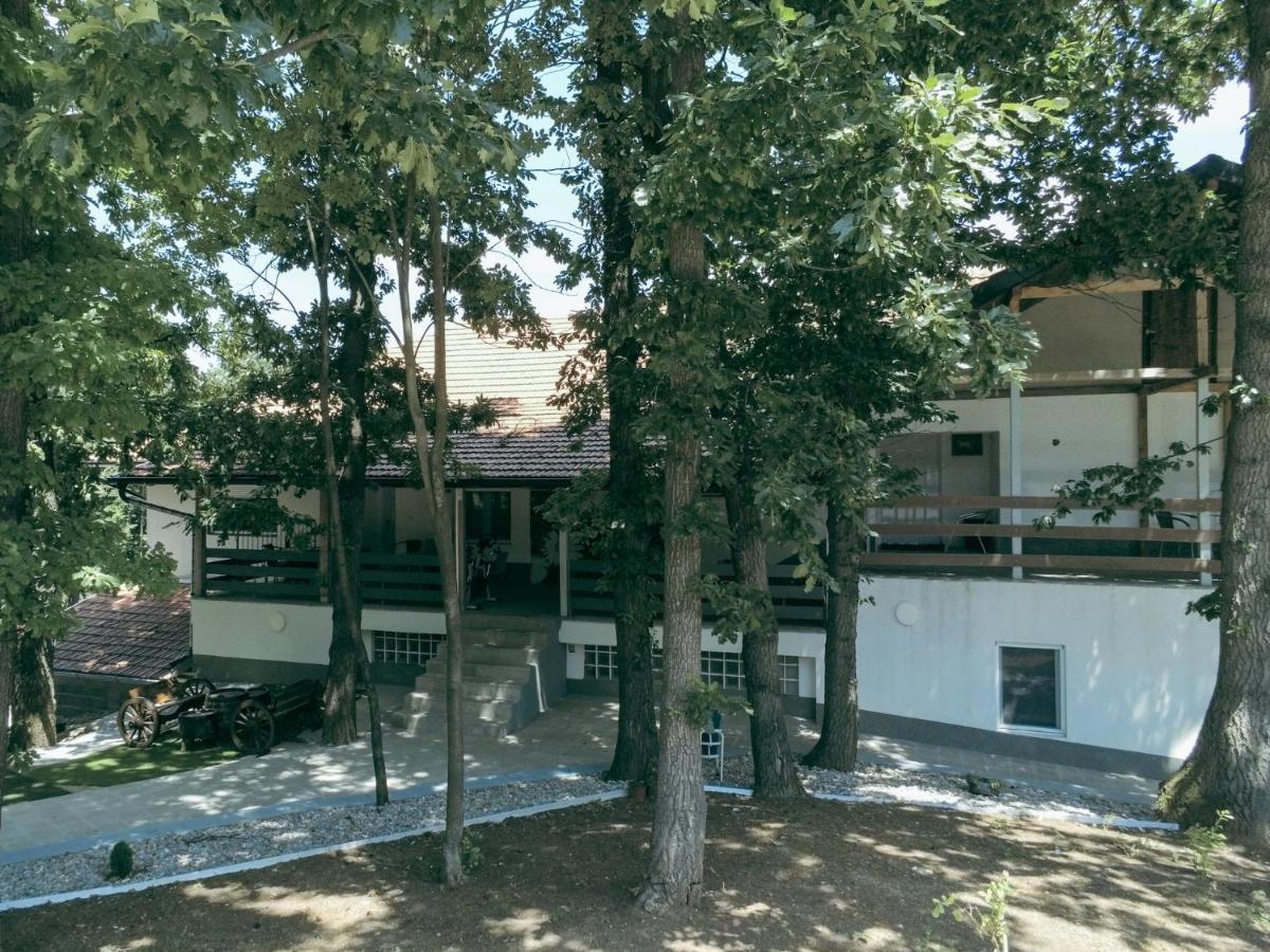 Konak Ljubica Rtanj Boljevac Exterior photo